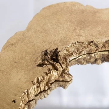 Anthology Small Bark Mirror 5 Anthology Small Bark Mirror - Image 3