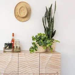 Cinema Scallop Cabinet -Chic Furniture Shop cin 003 1 l