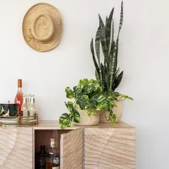 Cinema Scallop Cabinet -Chic Furniture Shop cin 003 l