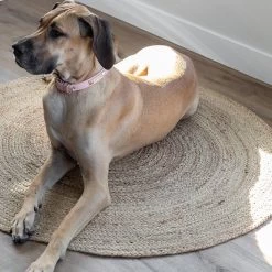 Delilah 4ft Round Rug – Natural -Chic Furniture Shop lifestyle mar 26 2021 40