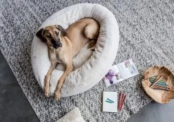 Frank’s Large Cuddler – Cream 26 Frank’s Large Cuddler – Cream -Chic Furniture Shop lifestyle nov 20 2020 02