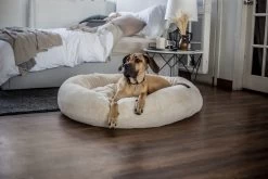 Frank’s Small Cuddler – Cream -Chic Furniture Shop lifestyle oct 23 202011 1 3cb61fb4 23e3 4261 84db b9c978cb3e35