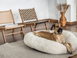 Frank’s Large Cuddler – Cream 25 Frank’s Large Cuddler – Cream -Chic Furniture Shop lifestyle oct 23 202060