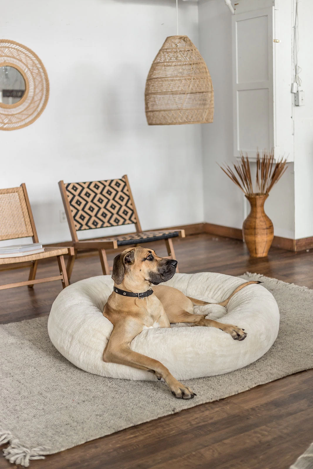 Frank’s Large Cuddler – Cream 5 Frank’s Large Cuddler – Cream - Image 4