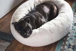 Frank’s Medium Cuddler – Cream -Chic Furniture Shop lifestyle oct 30 2020 01 6e156dc8 f72b 4781 a1a9 5b6d28ac2d2b