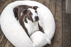 Frank’s Medium Cuddler – Cream -Chic Furniture Shop lifestyle oct 30 2020 03 e9372c1e a908 49a3 8eab 21fd052c1c1b