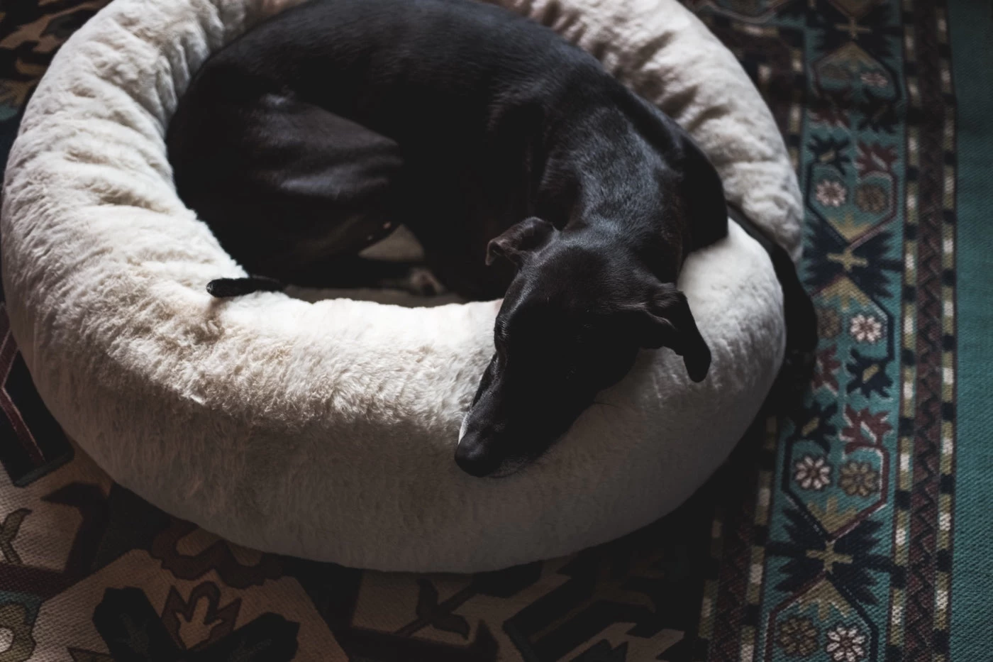 Frank’s Large Cuddler – Cream 14 Frank’s Large Cuddler – Cream - Image 13