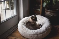 Frank’s Large Cuddler – Cream 35 Frank’s Large Cuddler – Cream -Chic Furniture Shop lifestyle oct 30 2020 06