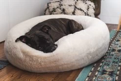 Frank’s Large Cuddler – Cream 27 Frank’s Large Cuddler – Cream -Chic Furniture Shop lifestyle oct 30 2020 08 1