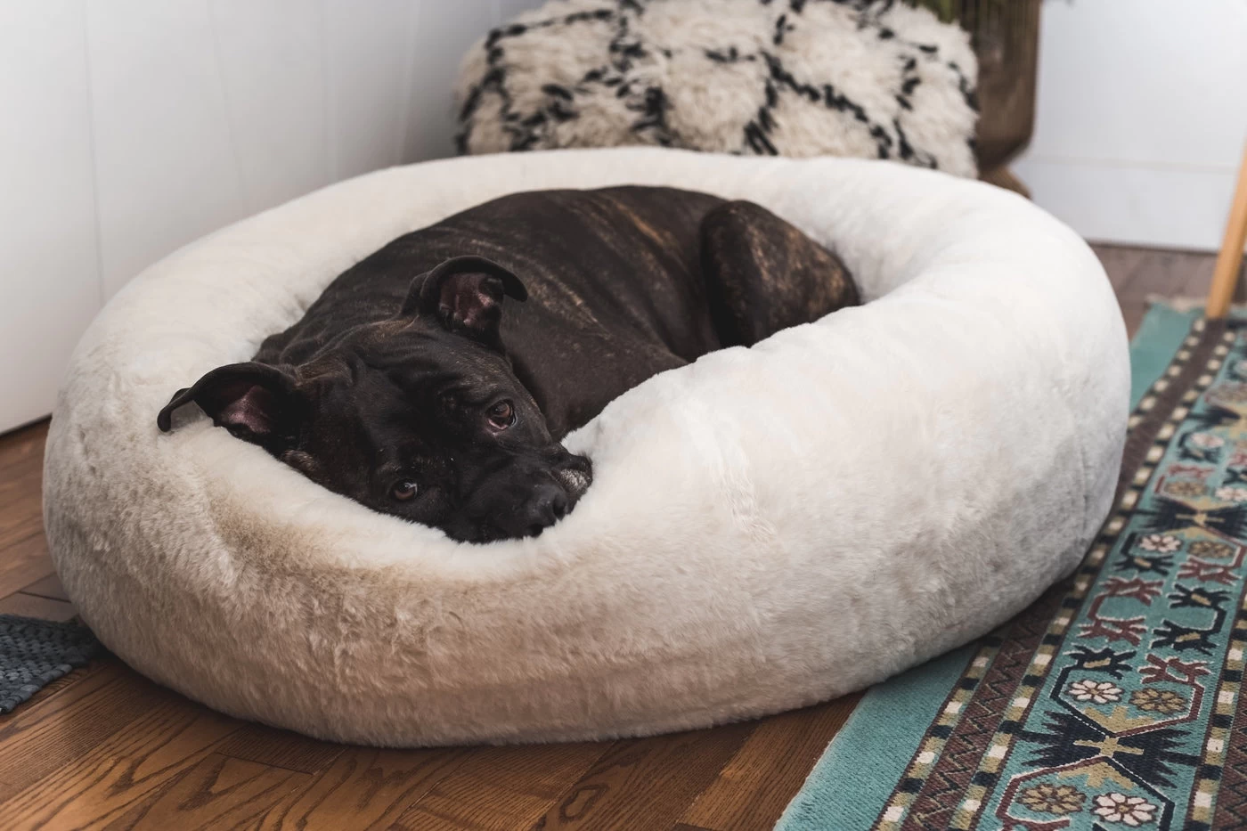 Frank’s Large Cuddler – Cream 8 Frank’s Large Cuddler – Cream - Image 7