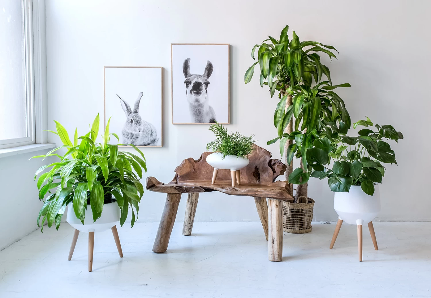 Natura Dian Bench 5 Natura Dian Bench - Image 3