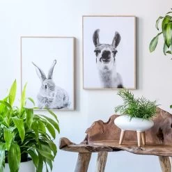 Natura Dian Bench 13 Natura Dian Bench -Chic Furniture Shop natura dian bench 3