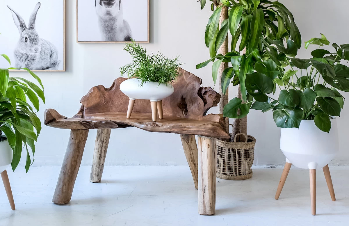 Natura Dian Bench 4 Natura Dian Bench - Image 2